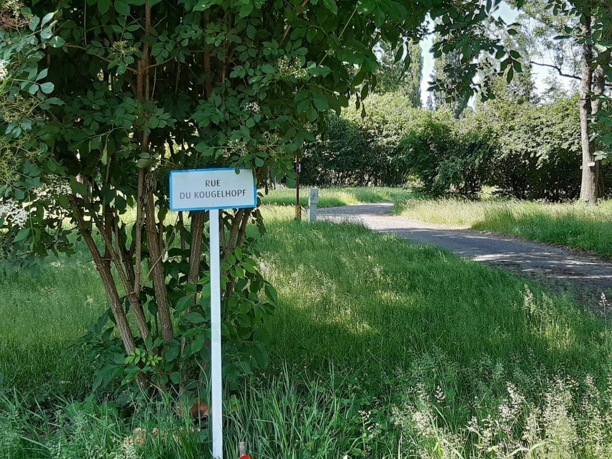 Camping De L'Ill Mulhouse Kültér fotó